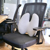 CoreSupport™ Back Support Cushion - HYVE
